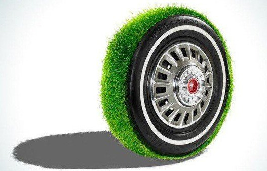 Зеленая шина